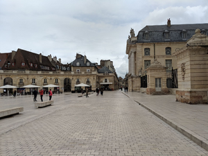 Courtier Dijon